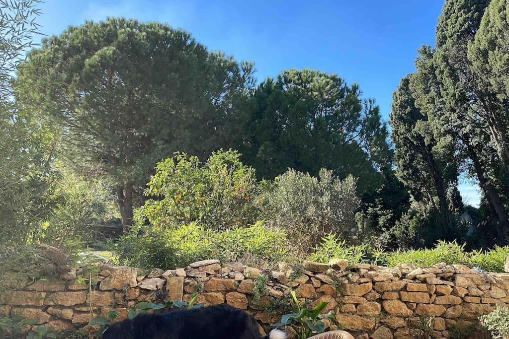 Gite Mas Provencal Tarascon Exterior photo