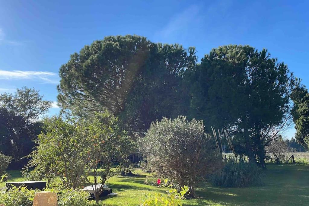 Gite Mas Provencal Tarascon Exterior photo